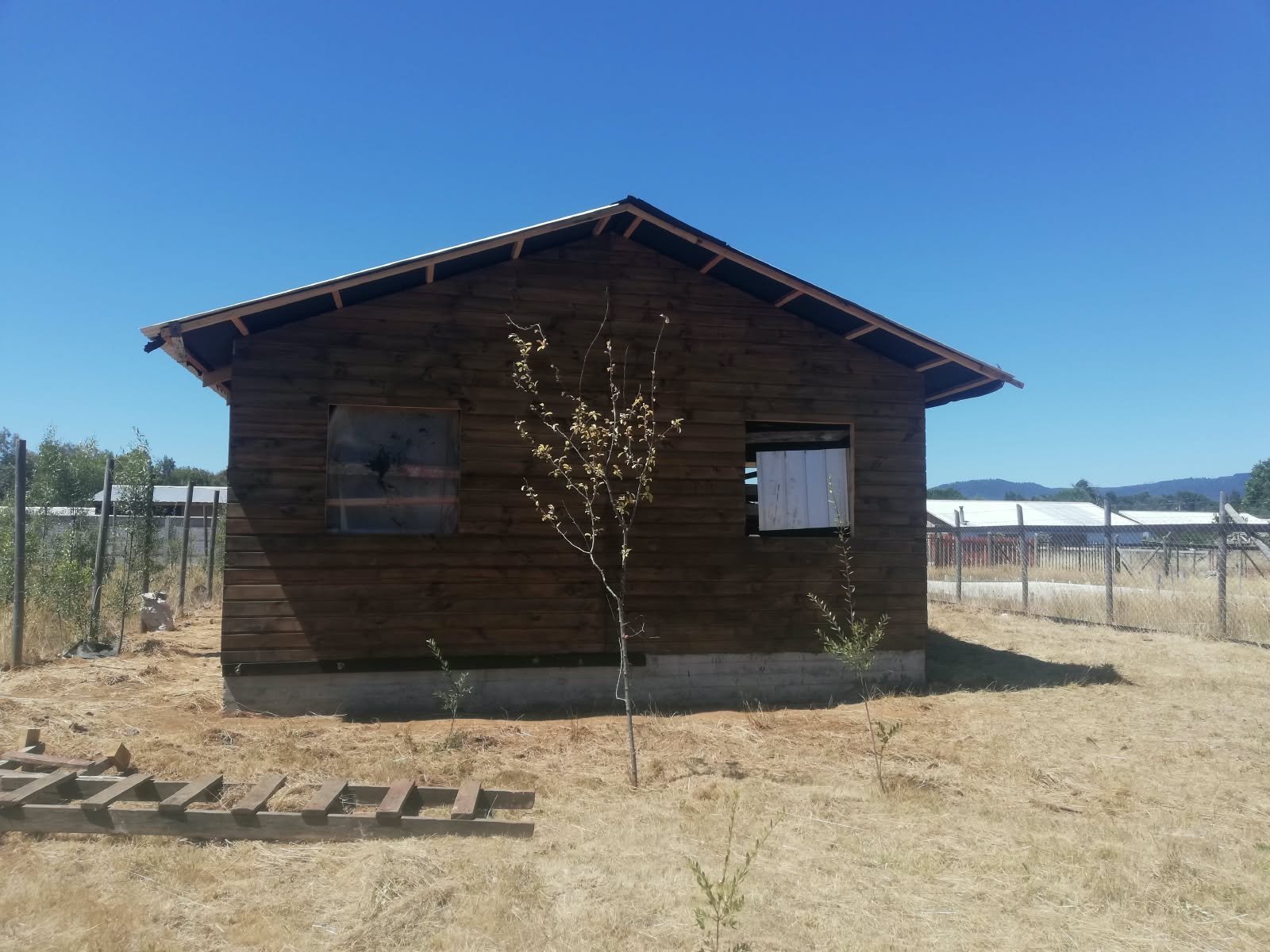Foto 5