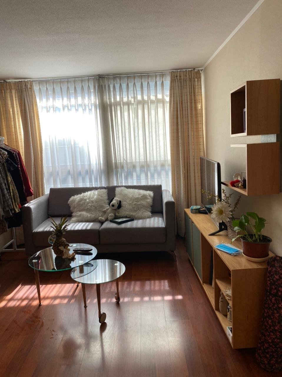 Foto 6