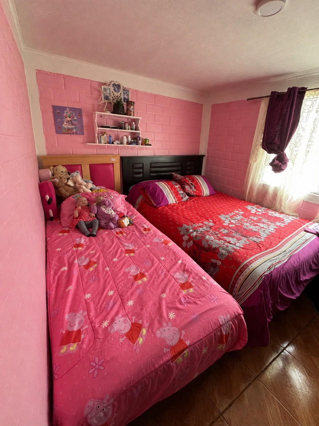 Foto 5
