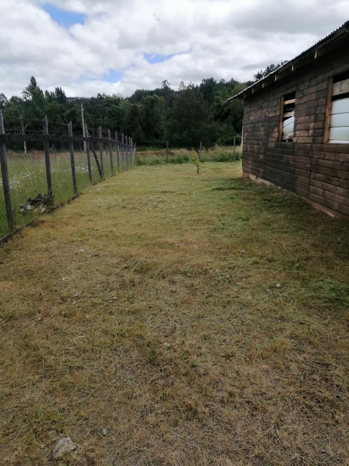 Foto 10